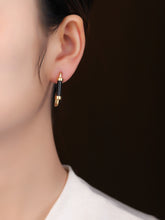 Load image into Gallery viewer, Black Agate Earring